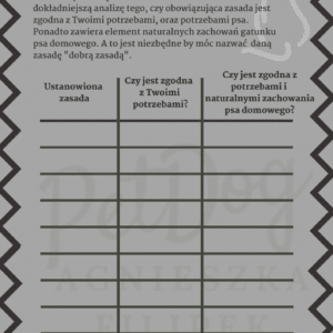 Harmonogram ćwiczeń